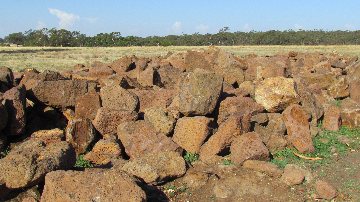 garden feature rock